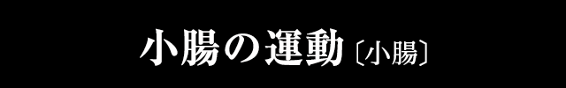 小腸の運動