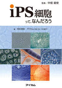 『iPS細胞って、なんだろう』のチラシ（PDF）