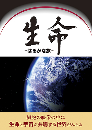  ͂邩ȗ
