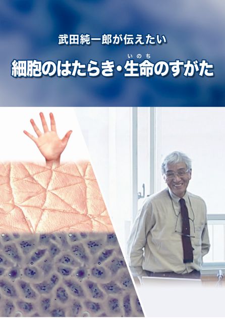 cY`@זÊ͂炫E(̂)̂